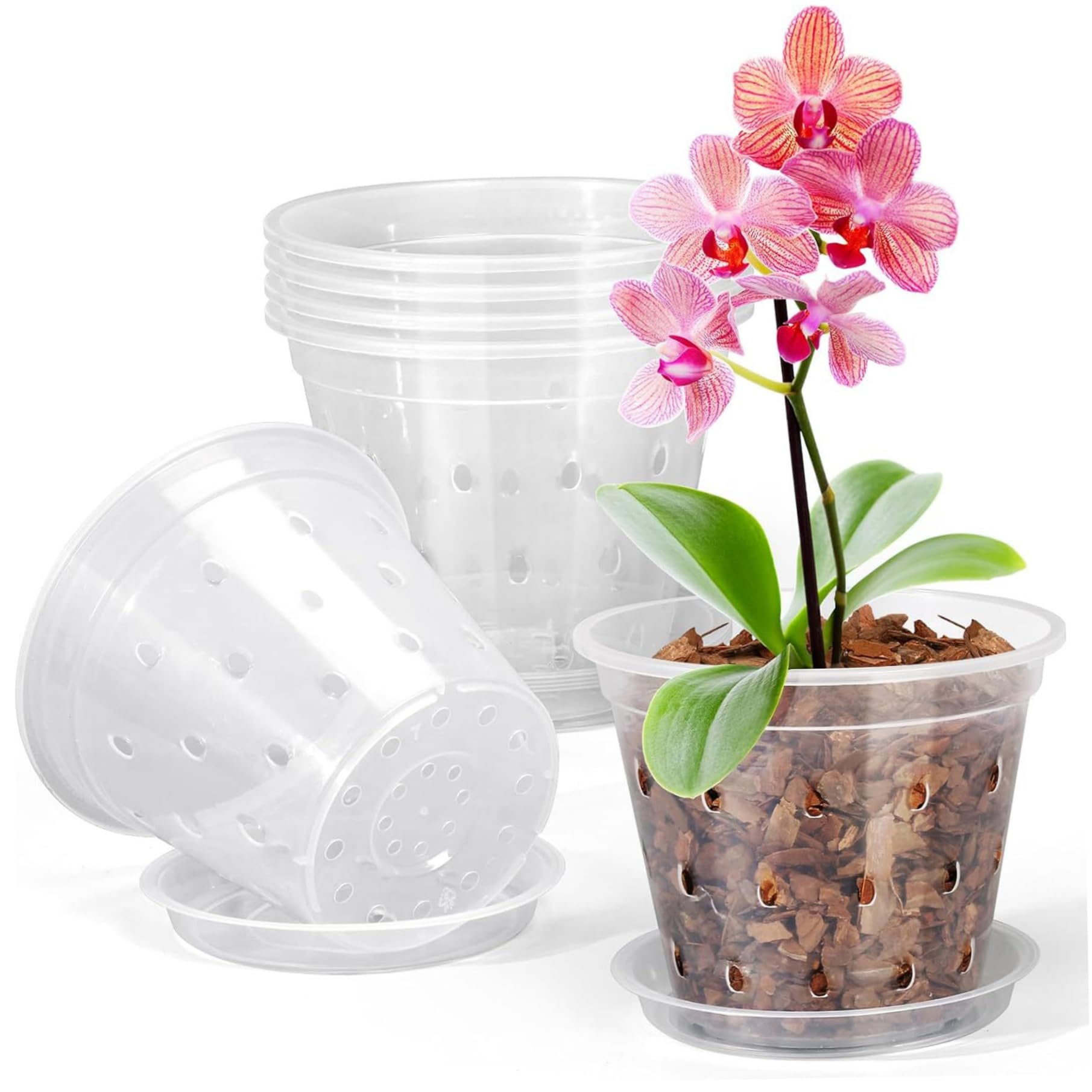 Temeemeg Clear Orchid Pots 6 Pcs 4 Inch Plastic Orchid Pots For Repotting Breathable Design For Healthy Root Growth Transparent Nursery Pot With Saucers