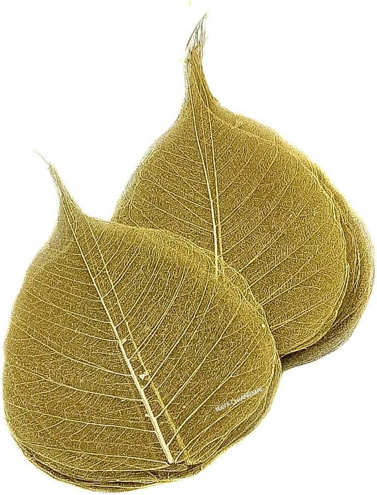 NAVA CHIANGMAI Skeleton Natural Ficus Religiosa Leaves Artificial Leaves Craft Card Scrapbooking DIY Embellishment Decoration Art Greeting Cards Wedding Gifts Seasonal Gift (Gold)
