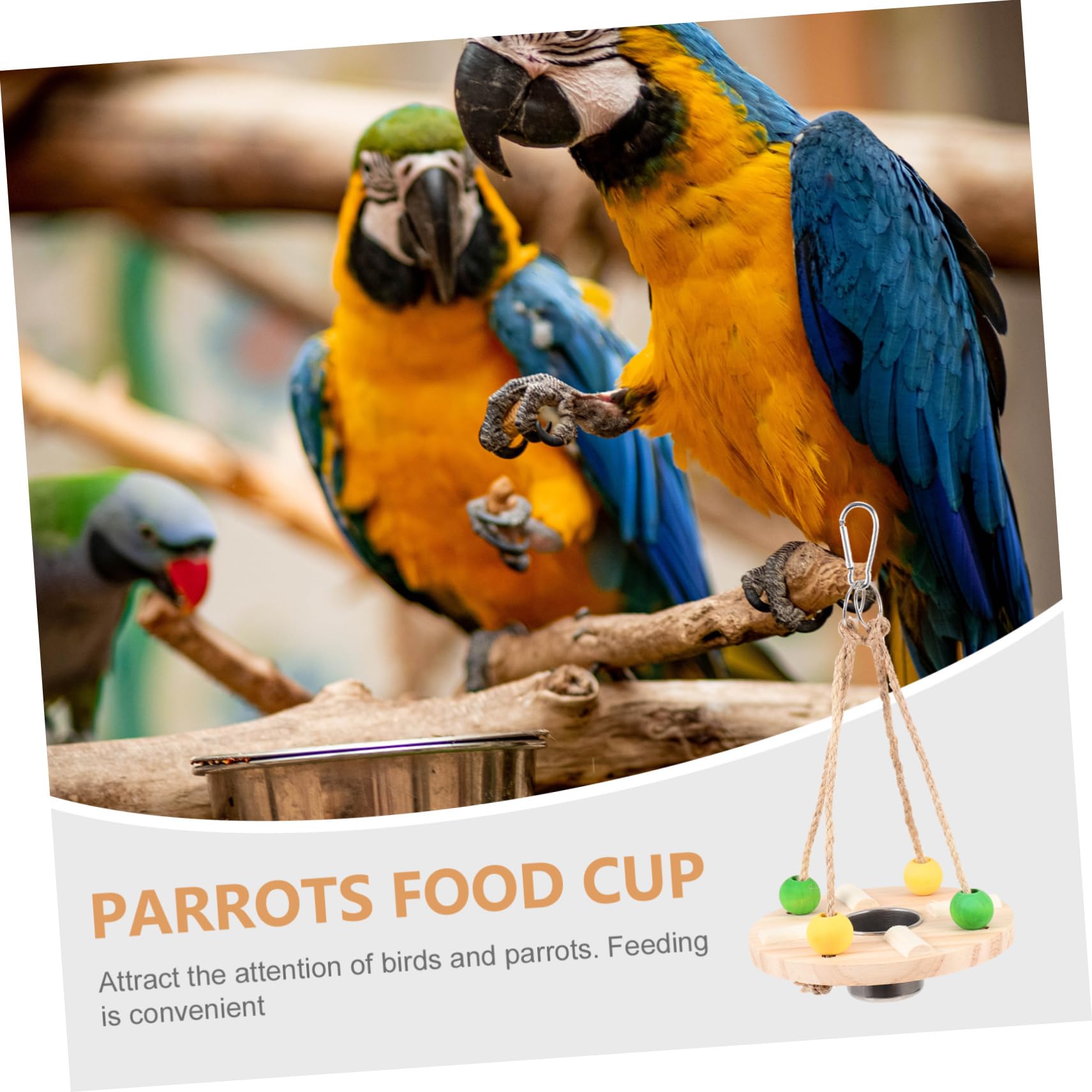 POPETPOP 5 Pz Mangiatoia Per Uccelli in Legno Mangiatoia Per Uccelli Altalena Contenitore Per L'alimentazione Dei Pappagalli Tazze Per Alimenti Per Uccelli Giocattolo Alimentare Di Legno