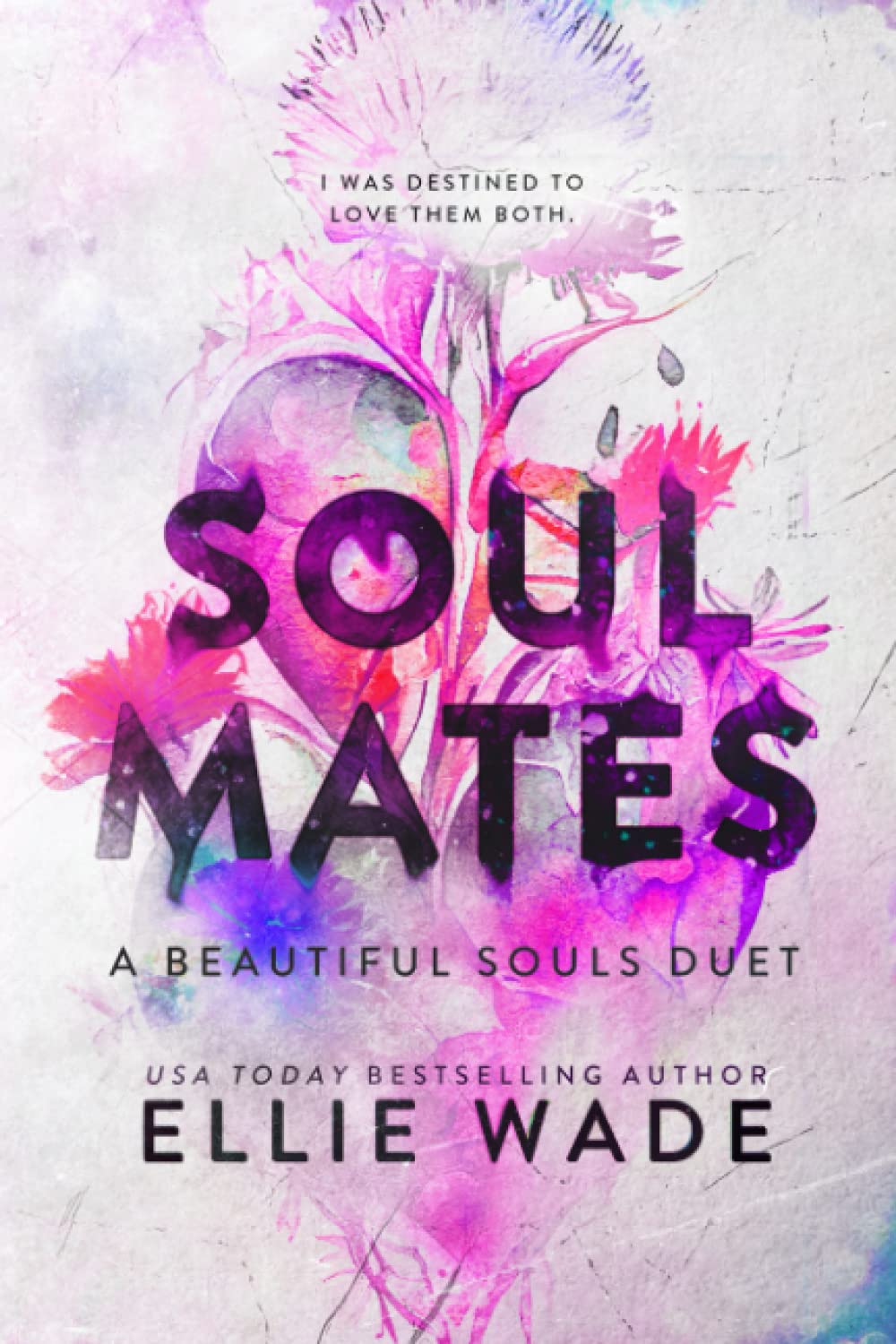 Soul Mates: A Beautiful Souls Duet