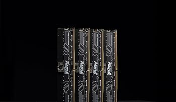 Kingston Fury Renegade Pro Expo 128GB 5600MT/s DDR5 ECC Reg CL28