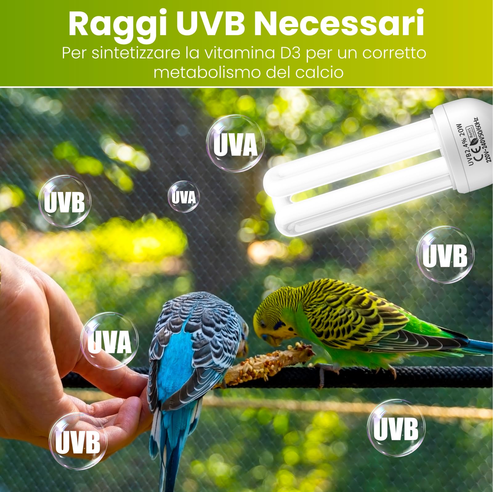 GlowUp UVB 2.4 Lampadina per uccelli, Lampadine UVA UVB da 20W E27 per uccelli, Pappagalli, Rettili