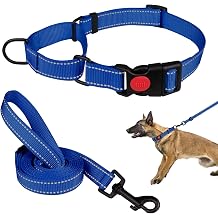 Martingale Dog Collar and Leash Set Martingale Collars for Dogs Reflective Martingale Collar for Small Medium Large DogsBlue&L