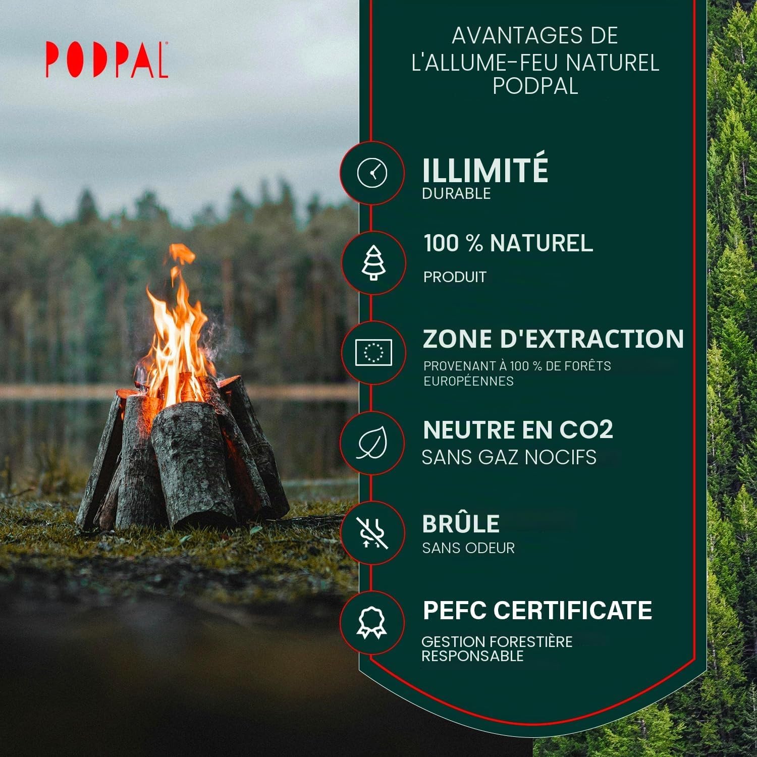 Bois d'allumage naturel en copeaux d'épicéa secs | Environ 5 kg | Bois de chauffage et bois de cheminée | Idéal comme allume-feu, allume-barbecue et allume-feu | Bois d'allumage et bois de