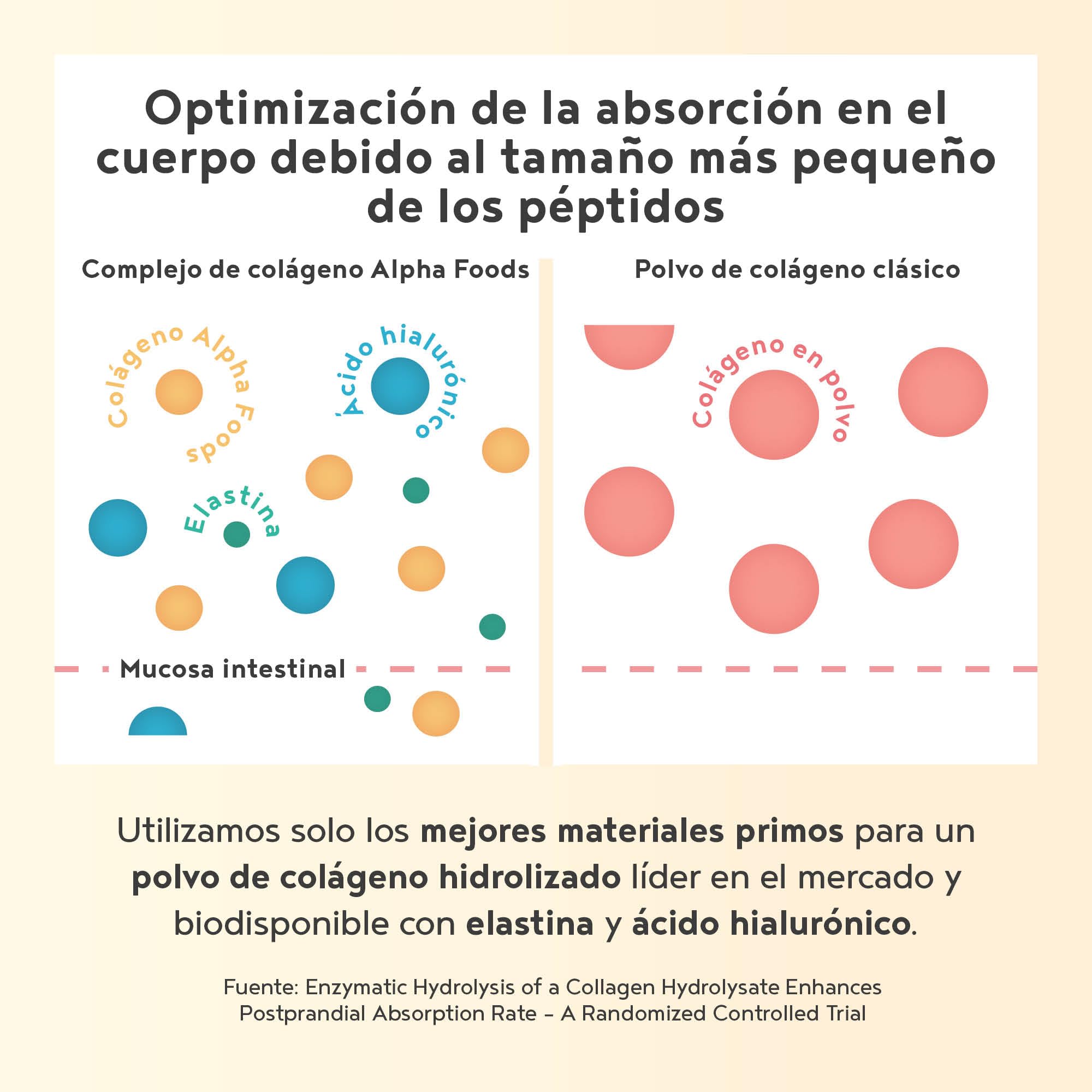 Colágeno en Polvo 400g | Péptidos de Colageno Hidrolizado con Acido Hialuronico y Elastina Marino | Collagen Peptides Tipos I, II, III | Sabor Chocolate | Alpha Foods — view 4