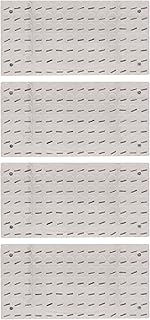 Eisco Labs Magnetic Field Demonstrator - Set of 4 Plates