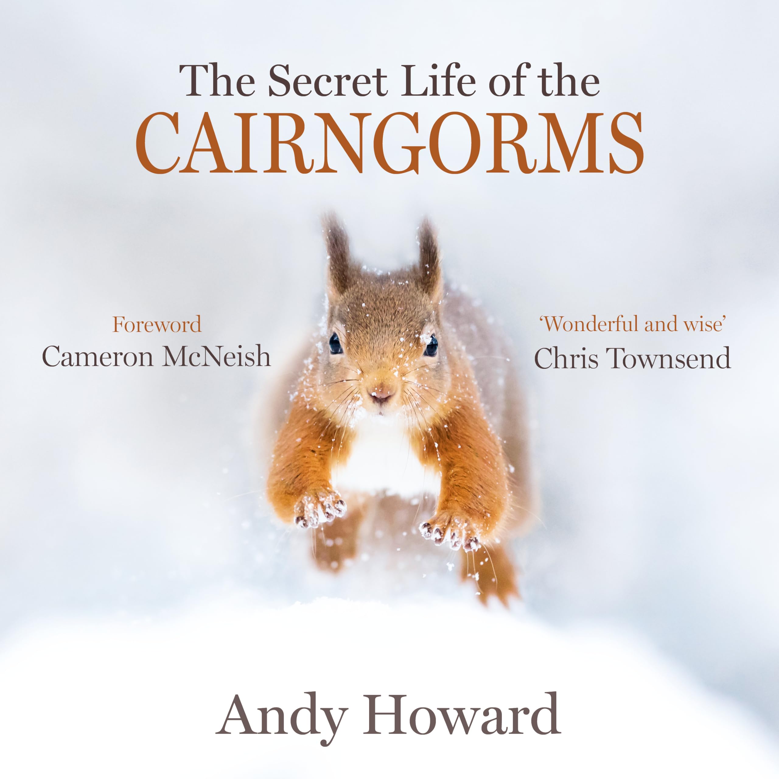 The Secret Life of the Cairngorms by Andy Howard Paperback