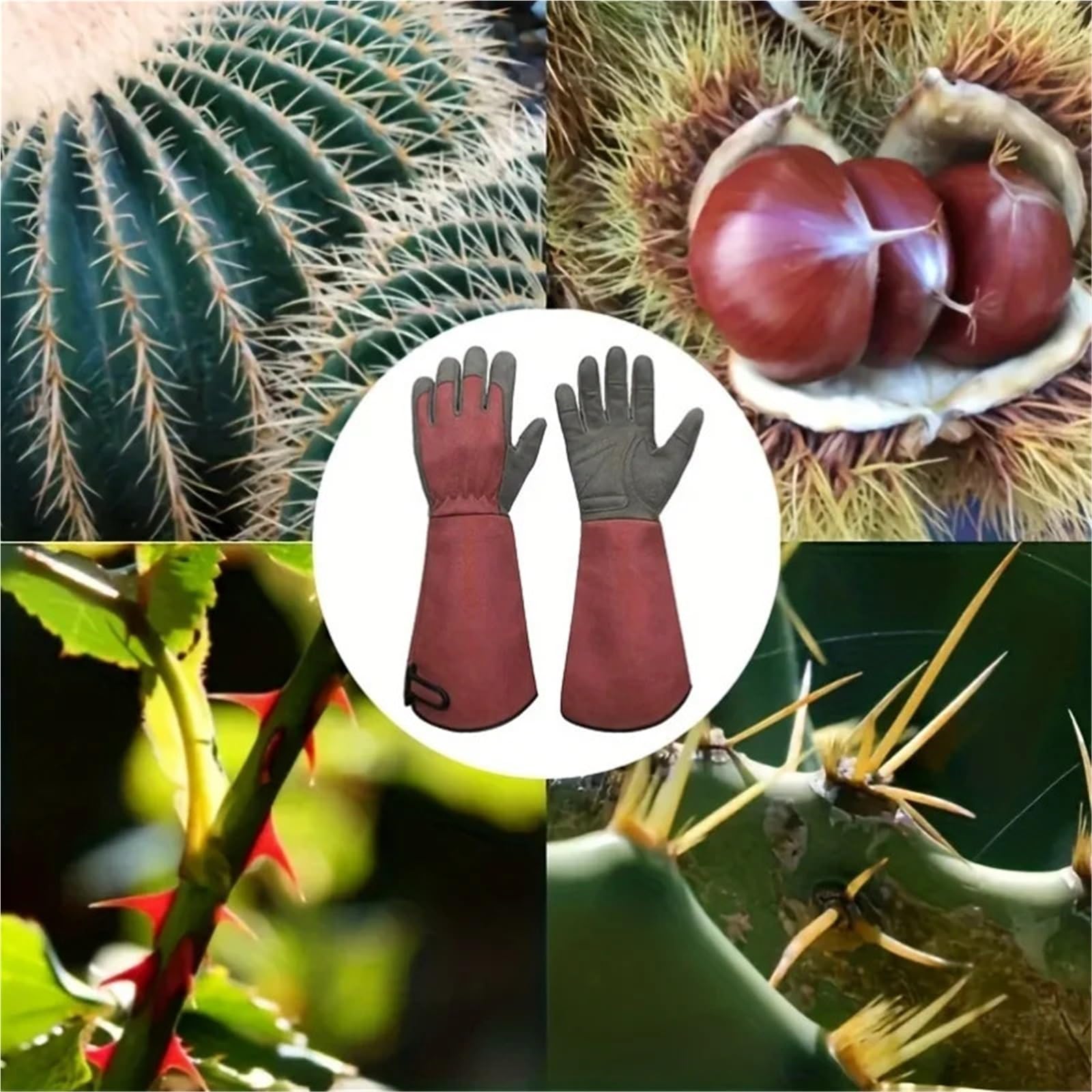 Guantes de jardinería estilo largo, guantes a prueba espinas, lona for podar, jardín con trabajo transpirables Para jardinería(M)