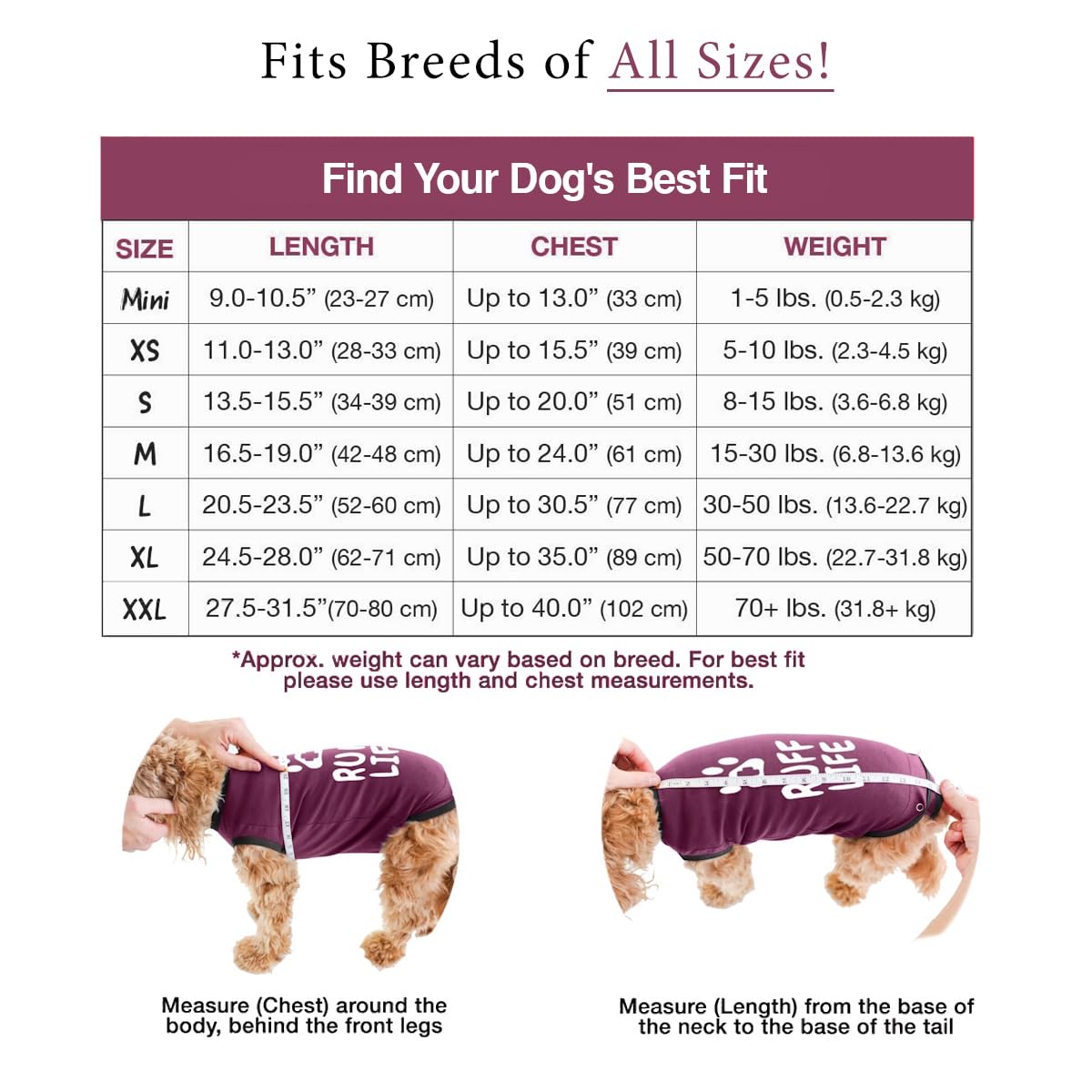BellyGuard Easy Orinal - Mono de recuperación para Perros machos y Hembras (algodón Suave, Cubre heridas y Puntadas)