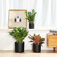 Vista 7 de Maceta de cerámica