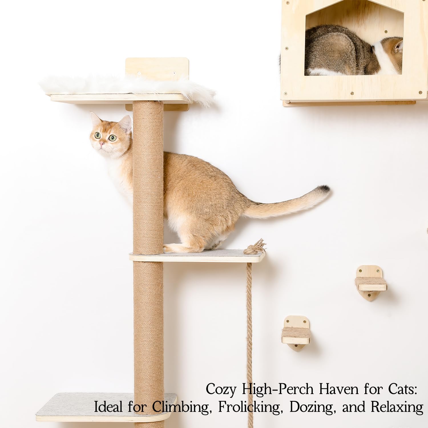Katzen-Wandregale, Holz, Wandmontage, Katzenmöbel mit 4 Ebenen, 1 Katzenwandhaus, 2 Katzen-Sitzstangen und 3 Wandstufen, Kletterkatzenregale für Wand, große Katzen