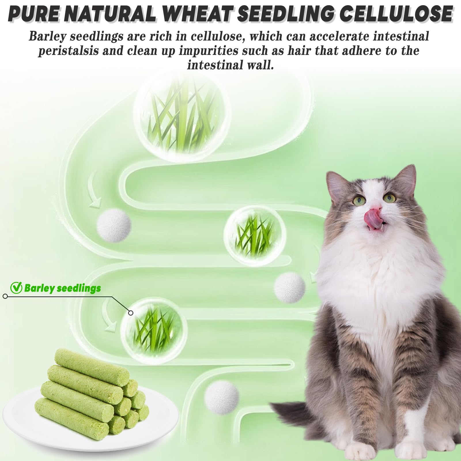 FePen Bastoncini Di Erba Gatta Per Gatti - 12 Snack Liofilizzati Per Pulizia Denti E Digestione - Foto 10