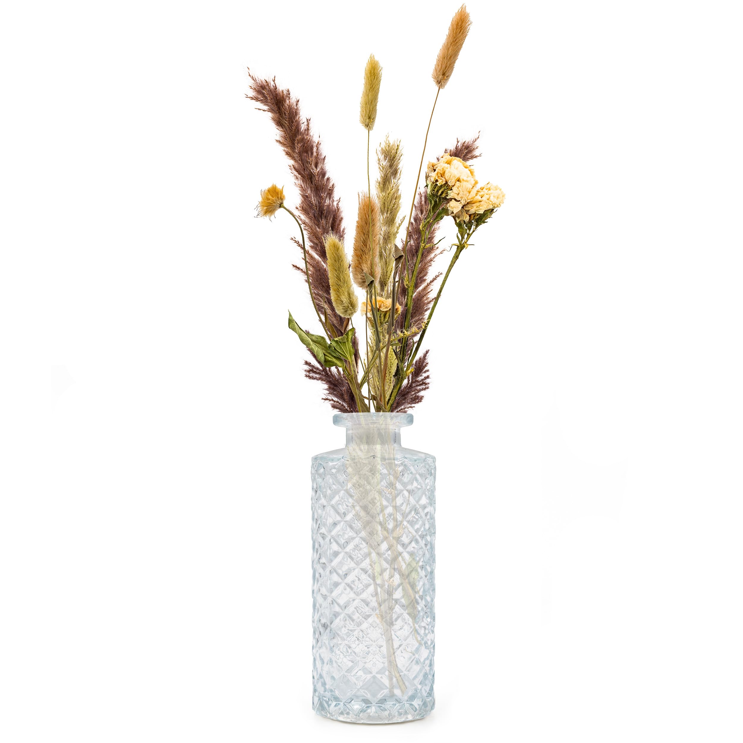 20er Set Kleine Vase Glas Deko Hochzeit - Vase Klein - Vase Modern - Deko Frühling - Pflanzen Deko Trockenblumen Set Vasen Hochzeitsdeko (Weiß)