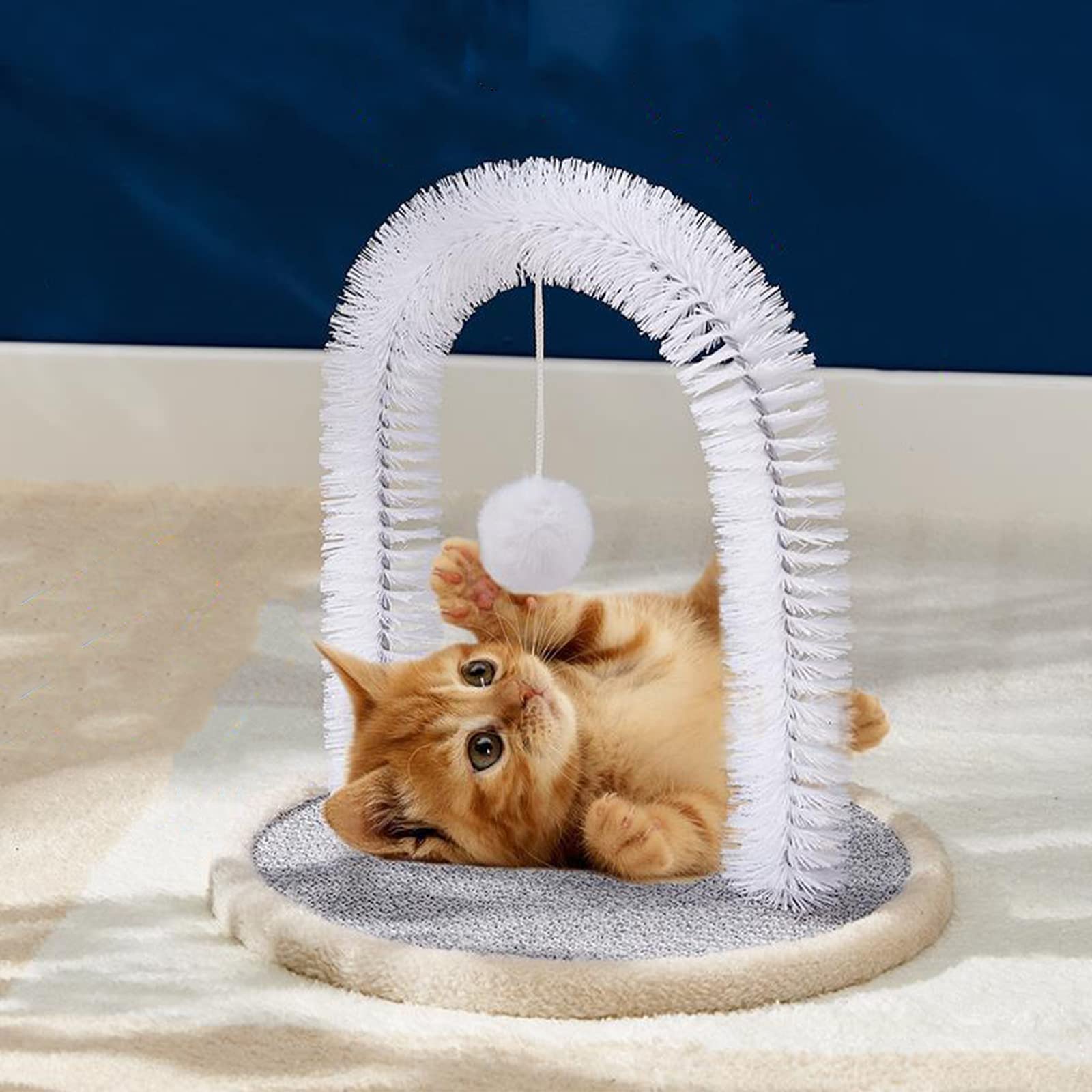 Toiletteur d'arche pour chat, gratte-dos, brosse à poils de visage, masser doucement votre chat, brosse et masseur durable pour chatons à chats