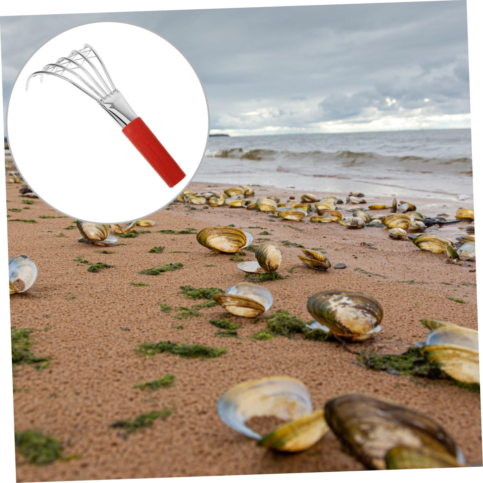Sosoport 2stücke Handheld Muschelrechen Aus Edelstahl Wiederverwendbarer Strandgräber Für Muscheln Und Krabben Praktisches Werkzeug Für Strand Mit Fünf Zähnen