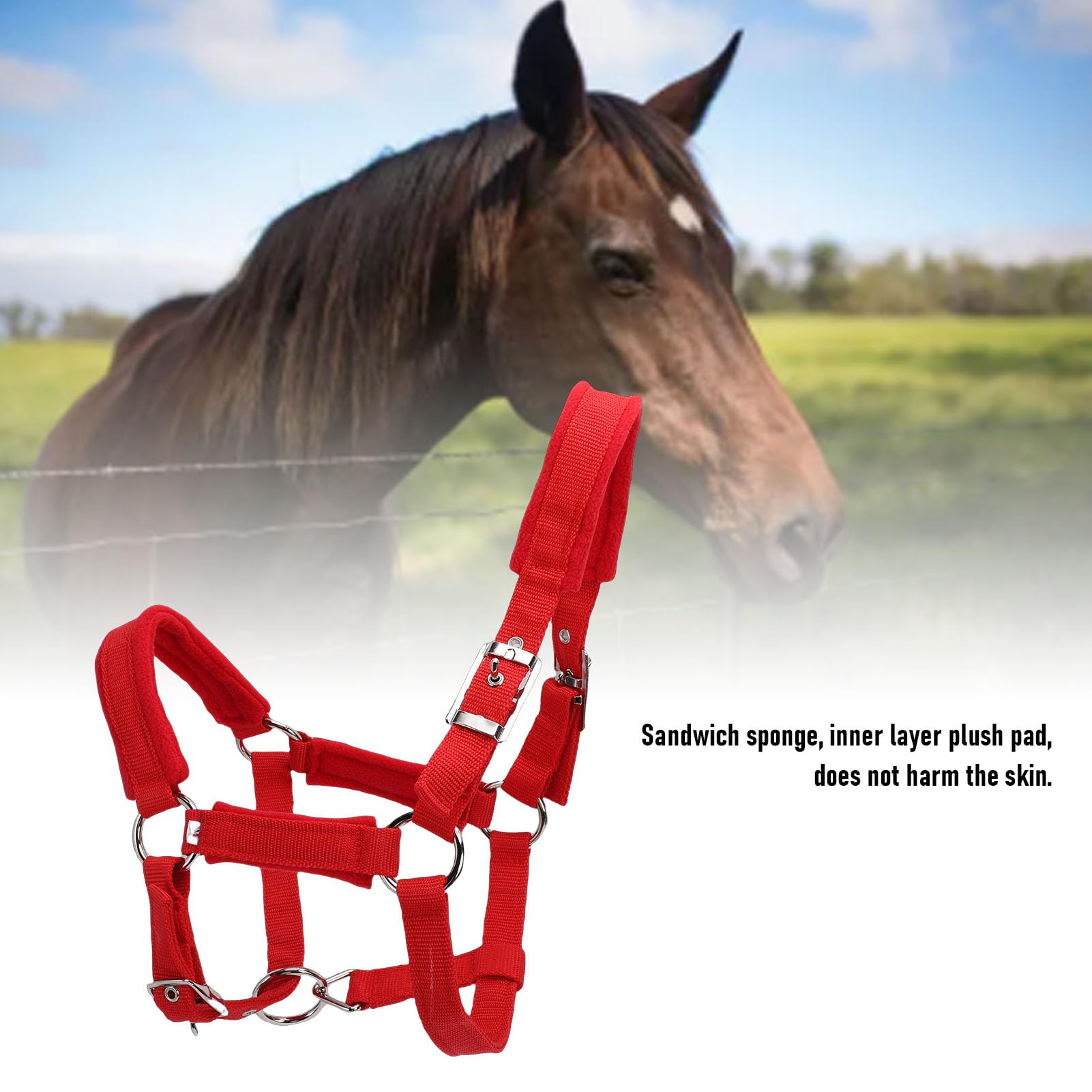 Cavezze per cavallo regolabili in nylon morbido e resistente, rosse, capezzale da equitazione con cinturino in nylon PP largo 25 mm con fibbia in metallo per cavallo medio, per