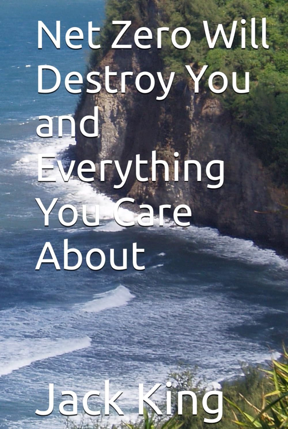 Net Zero Will Destroy You and Everything You Care About