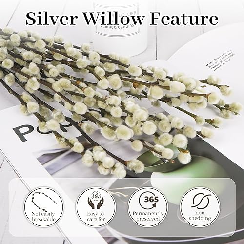 Miniatura 7 de 40 tallos de 17.5 pulgadas, 100 % naturales, ramas de sauce seco para jarrones, sauces de coño real, flores secas, salix argyracea, sauces blancos