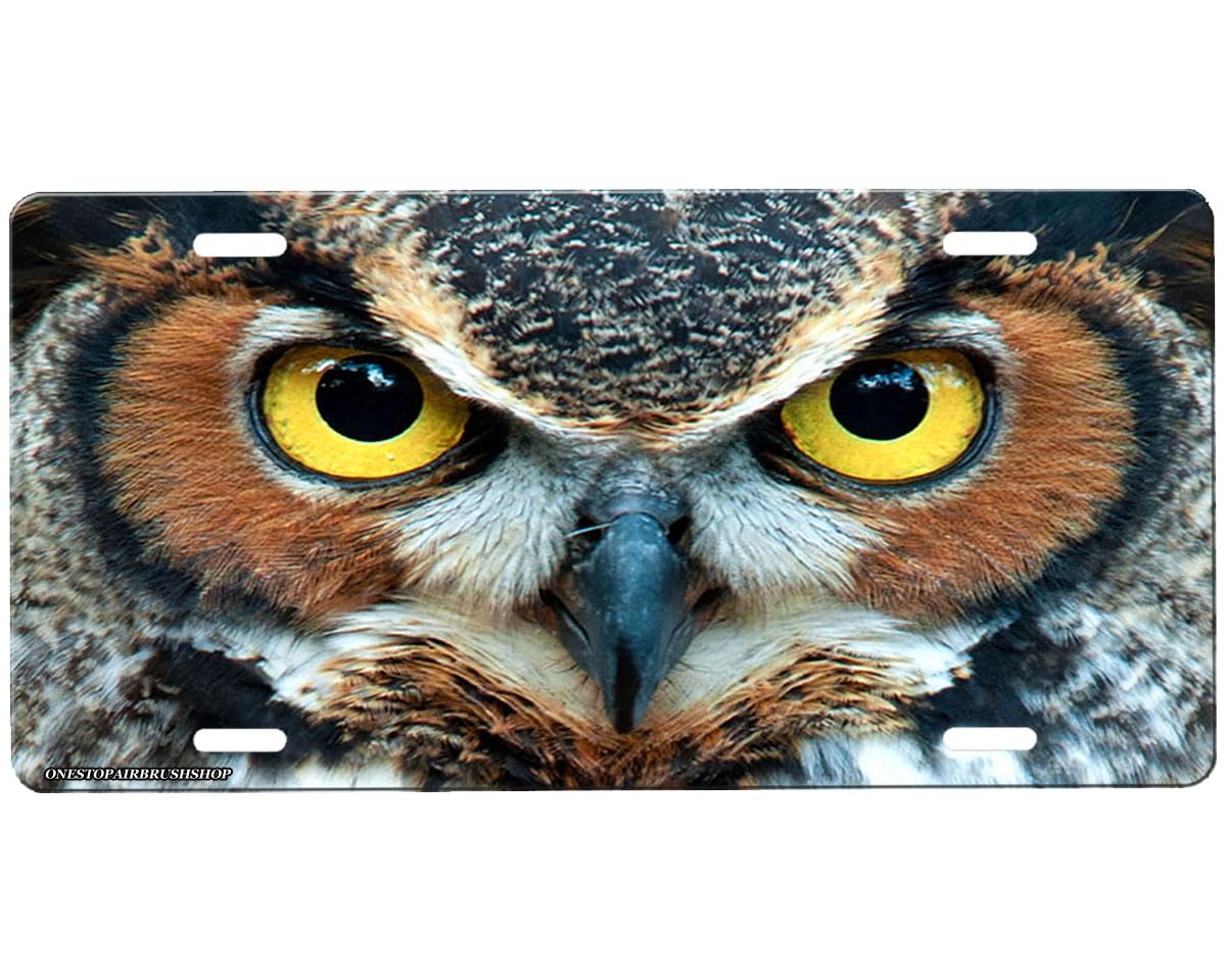 Owl Front Novelty Car Tag Sign with Custom Background Options