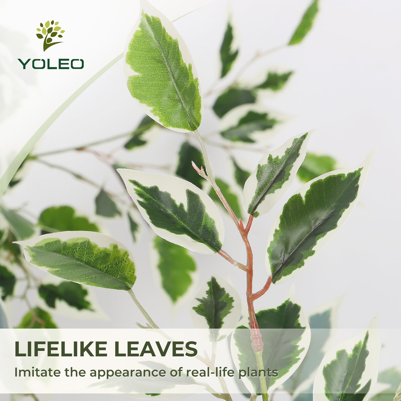 YOLEO Planta artificial Ficus Benjamini 160 cm con maceta blanca | Árbol artificial de ficus como real, higo de abedul para salón, oficina, jardín