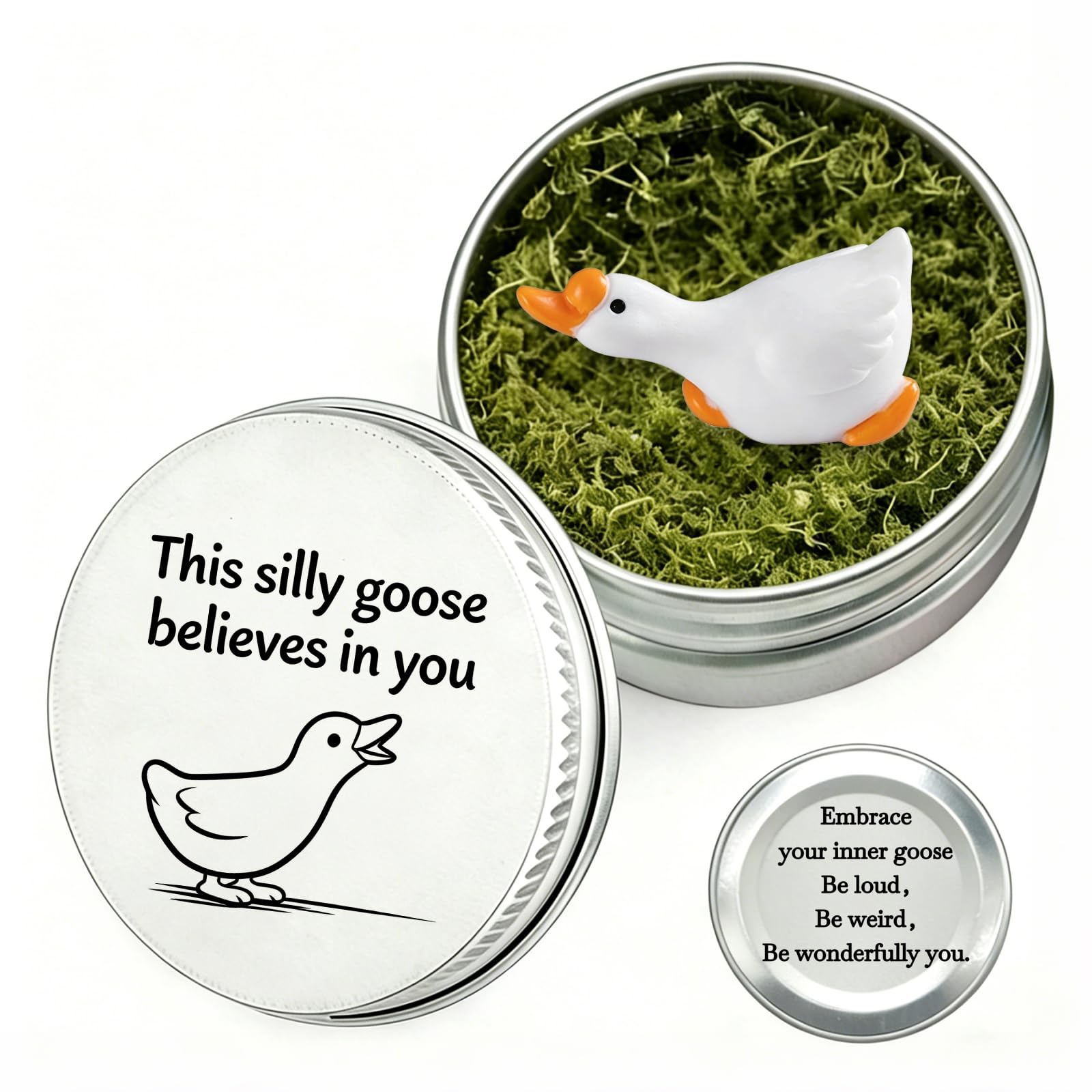 Funny Silly Goose Gift in a Tin | Aluminum Box Keepsake with Inspirational Message “This Silly Goose Believes in You” | Cute Desk Decor, Pocket Hug, Encouragement Gift for Friends, Coworkers, Bestie |