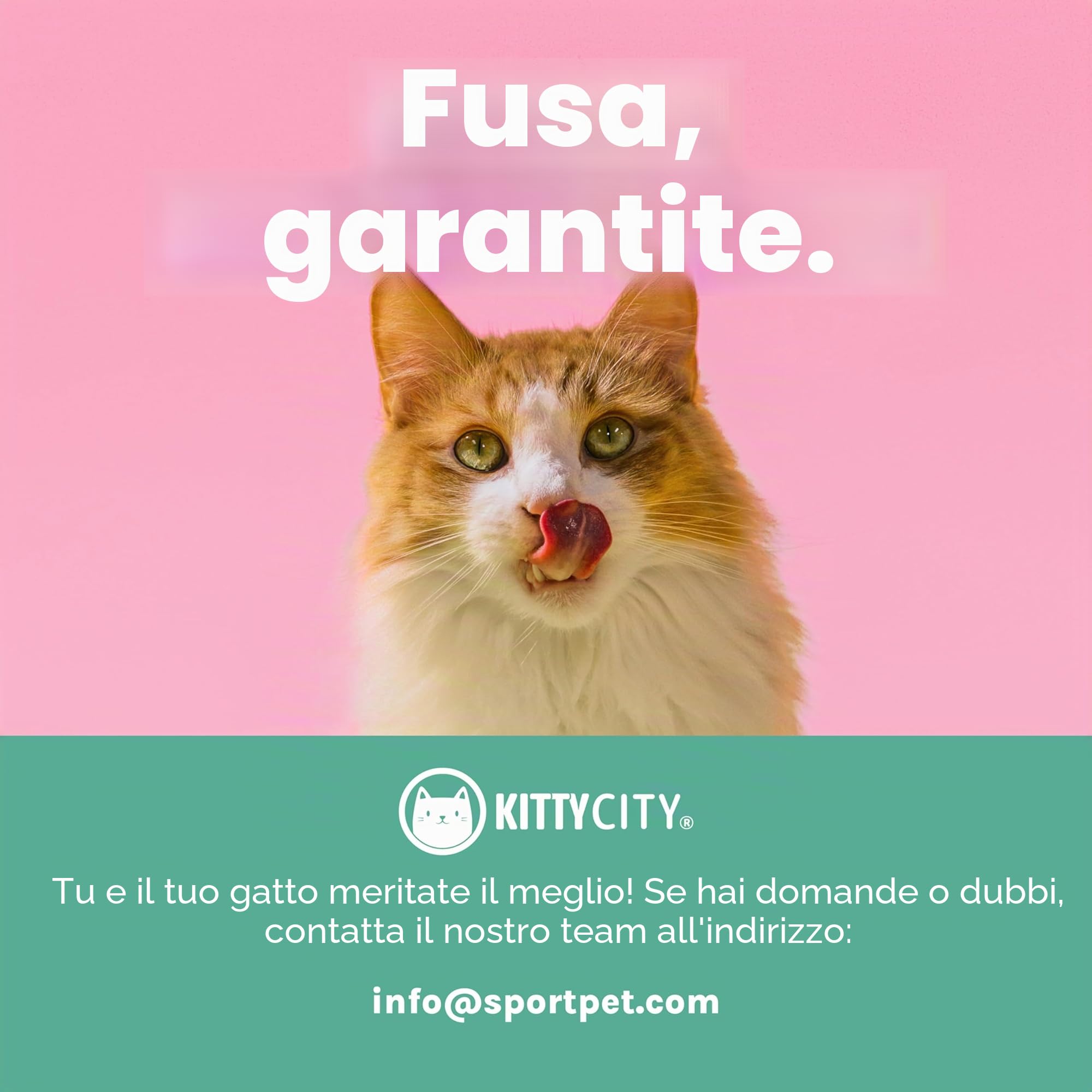 Kitty City Artiglio per interni ed esterni, Mega kit per gatti, cuccetta per gatti, cuccia da esterno, grattaschiagraffi ondulato, nero