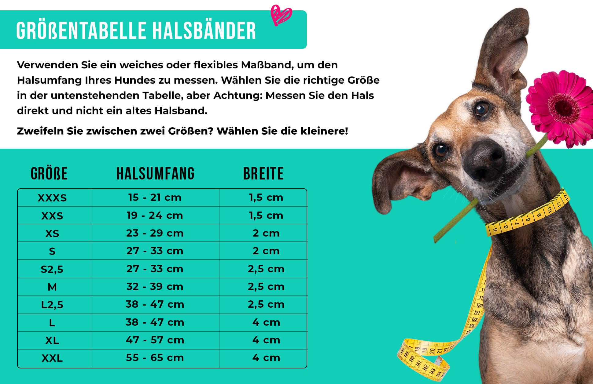 Dog with a Mission - Hundehalsband XL | Farbenfroh in Blau und Türkis | Boho, Ethno, Ibiza, Hippie | Für extra große Hunde | Handgemacht | Modisch und Bunt | Aus weichem Echtes Leder | 4 cm Breit