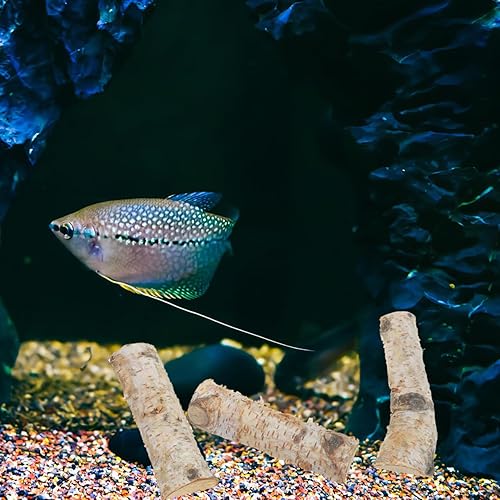 Miniatura 9 de EXCEART 8 piezas de mini troncos de abedul ramas de abedul naturales DIY adorno de Navidad manualidades, mini tronco de madera, abedul de madera,