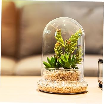 LSA大きなガラスフラワーベース　花器　苔テラリウム　ジオラマ 花生け　華道 LSA大きなガラスフラワーベース 花器 苔テラリウム ジオラマ