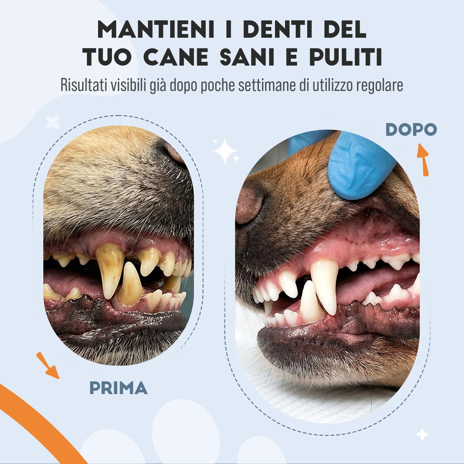 Pulizia Denti Cane in Polvere, Rimuovi Tartaro Denti, con Ascophyllum Nodosum e Pappa Reale, per Alito Cattivo e Igiene Orale, 150gr per Supporto alle Gengive e Alito Fresco