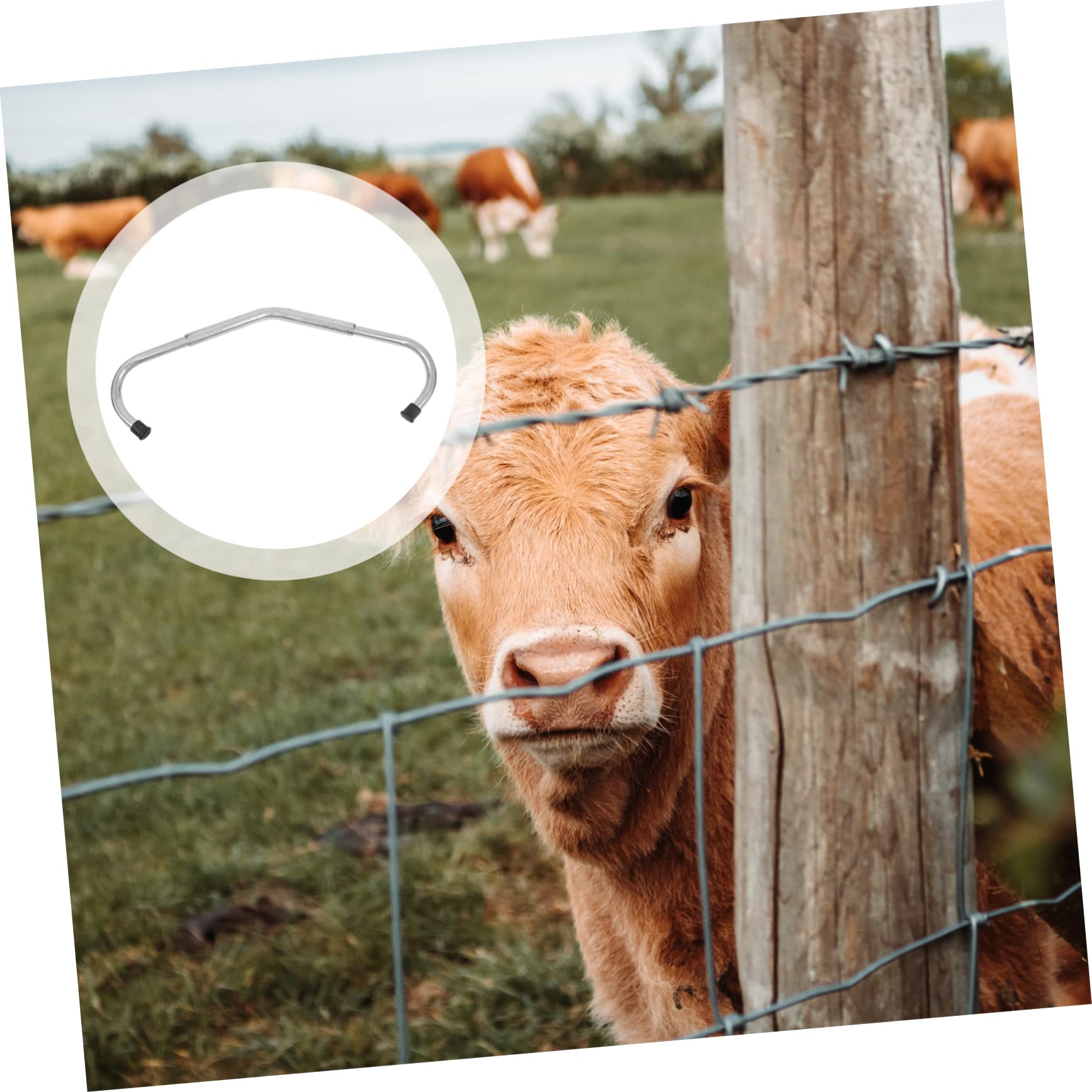 ifundom 1 Pz Etichette Anti-Calcio Per Bovini Asta Anti-Calcio Per Pascolo Pesante Pratico Accessorio Per Allevamento Regolabile Accessorio Per Ranch Argento Zincato