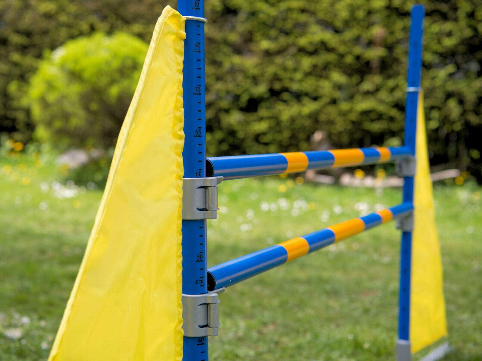 PROCYON Profi Agility Hürde Hunde-Training-Set höhenverstellbar - FCI konform