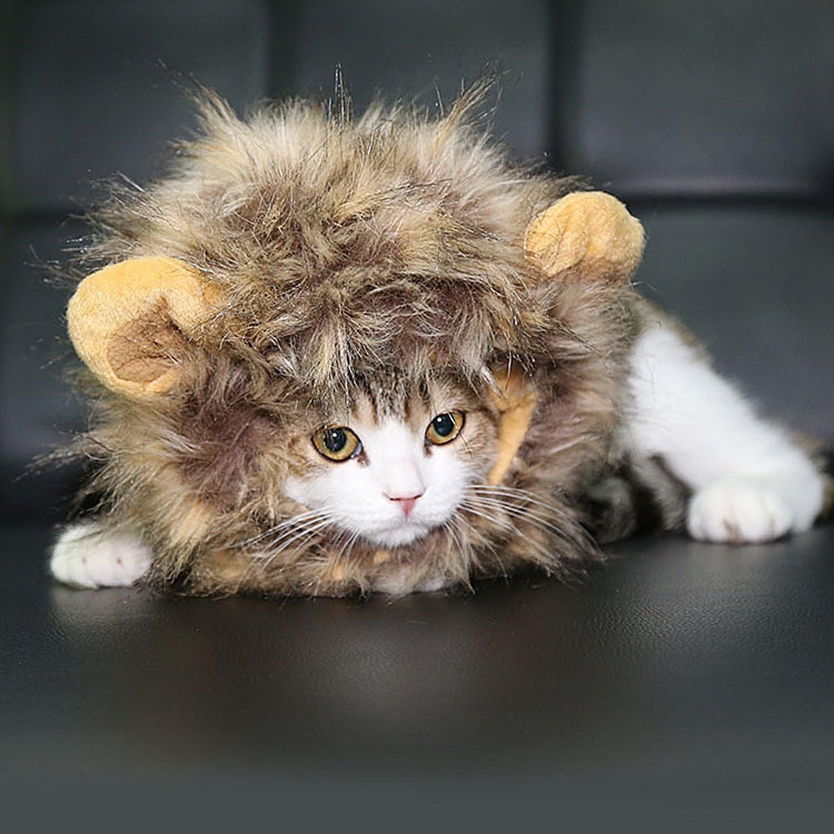 CoCogo Cat Wig & Small Dog Costume Lion Mane Wig with Ears