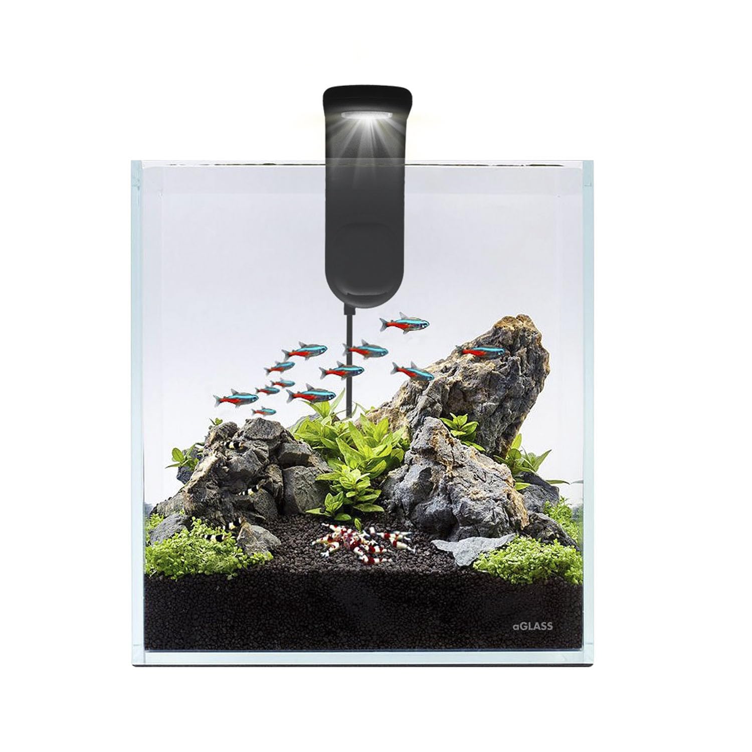 AquaLighter Nano-Aquarium 10 l Set aus Weißglas, mit LED-Beleuchtung und Filter