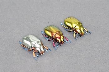 Amazon.co.jp: BACALYSO | 涅槃 クリシナ・クリサルギレア フィギュア