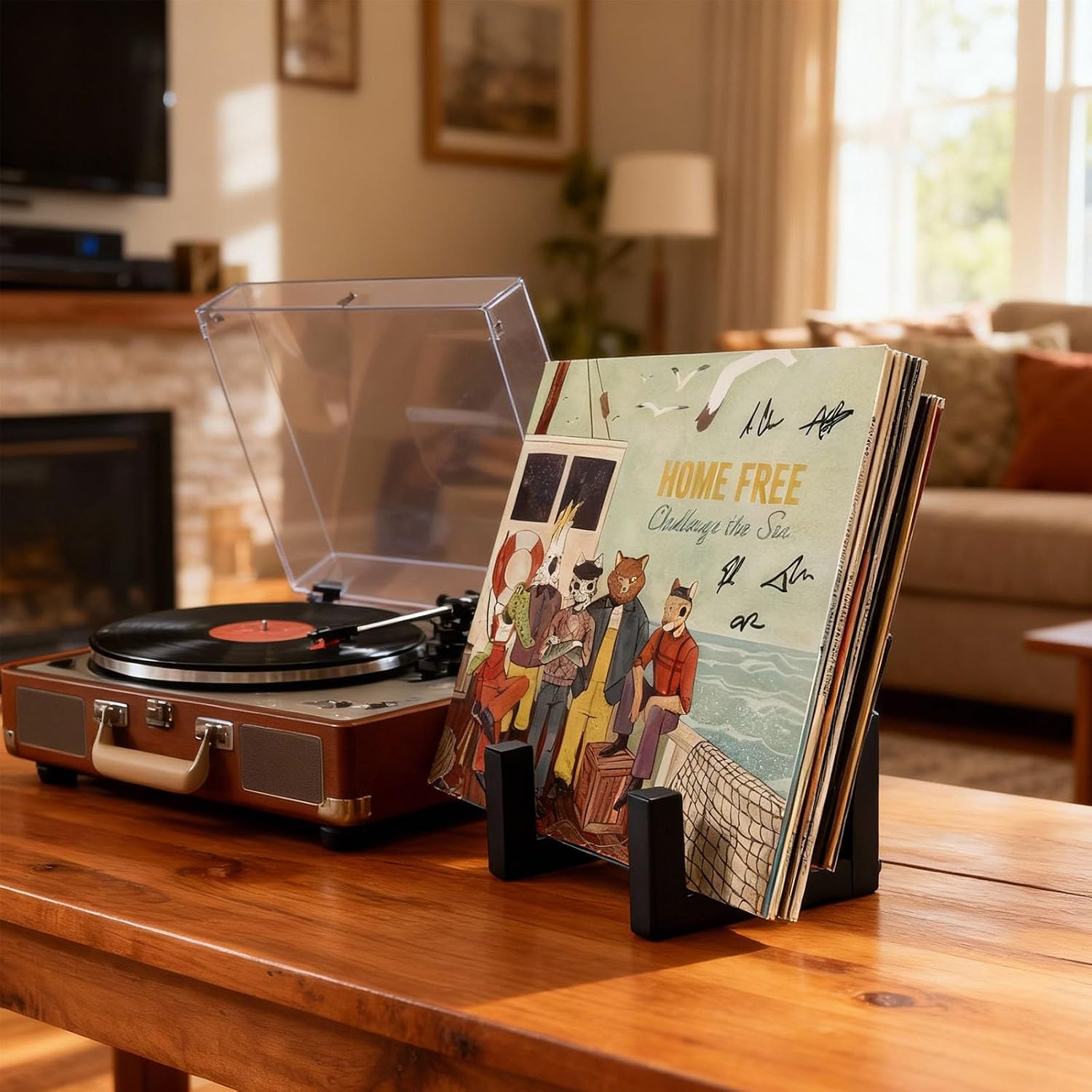 Vinyl Record Storage Holder-LP15, Black Lp Record Holder