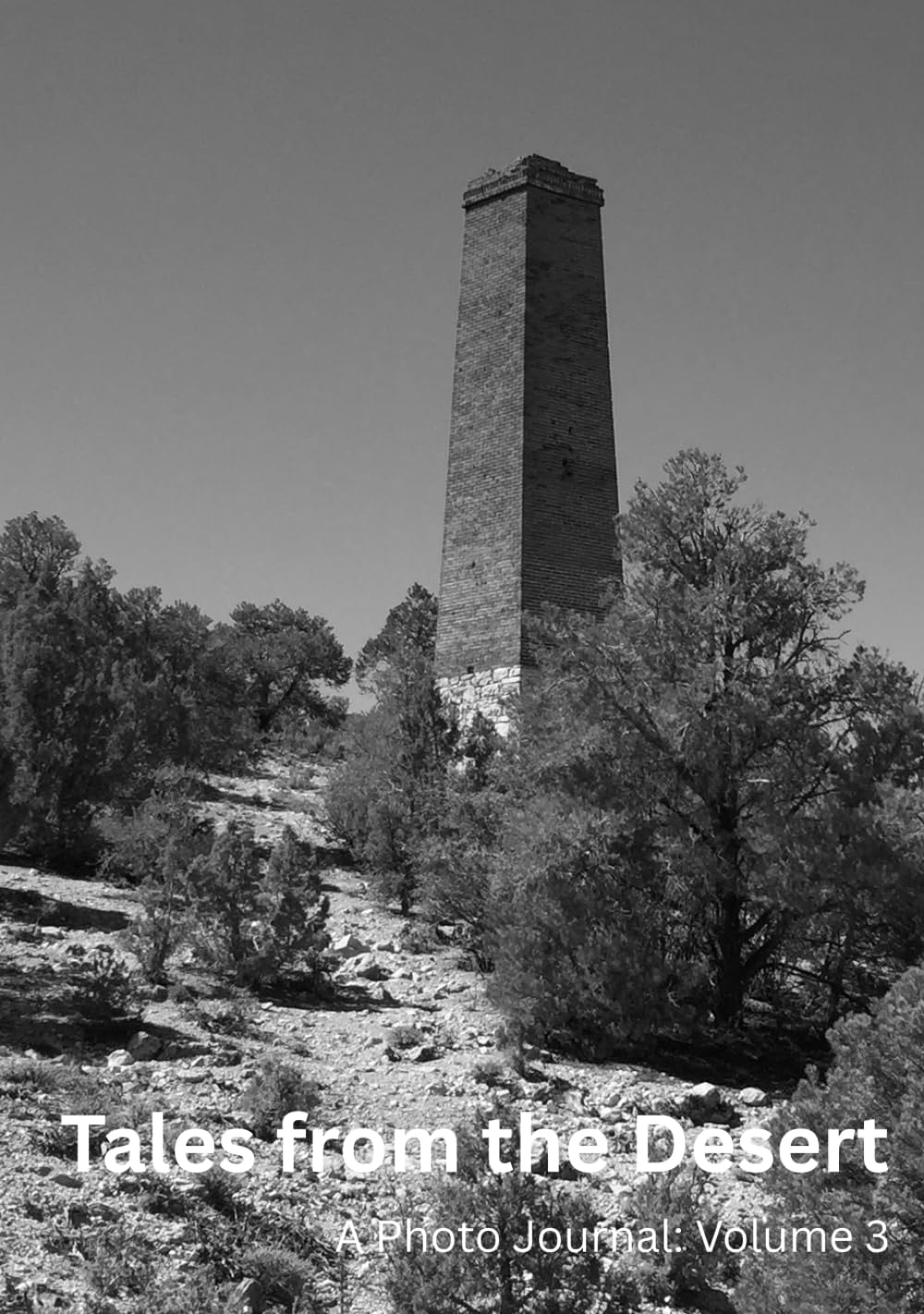 Tales from the Desert: A Photo Journal: Volume 3