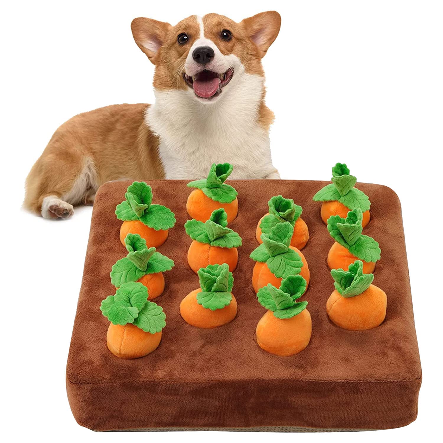 ANTIOCH Giocattoli Interattivi per Cani, Carota per Cani, Giocattoli Puzzle Peluche 2 in 1, Giochi Alimentazione per Naso per Alleviare lo Stress degli Animali Domestici
