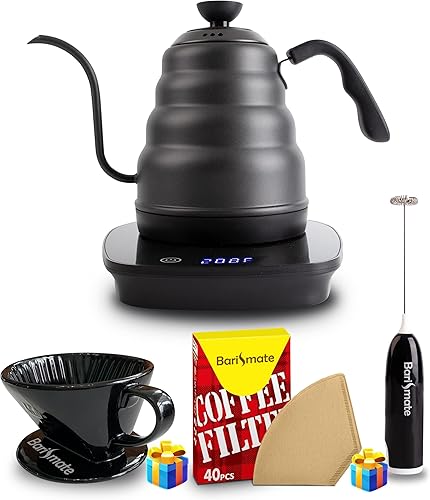 Hervidor eléctrico de cuello de cisne con control de temperatura de acero inoxidable para espumador de leche, juego de filtro, café, té, 1 litro,