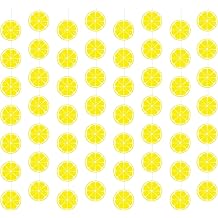 Lemon Party Decorations - 8 Strip Lemon Paper Garland, Birthday, Baby Shower Decorations, Yellow Themed Party Decor, Summer Fruit Theme Banner Wallpaper, Hawaii Flag Hanging Ornaments
