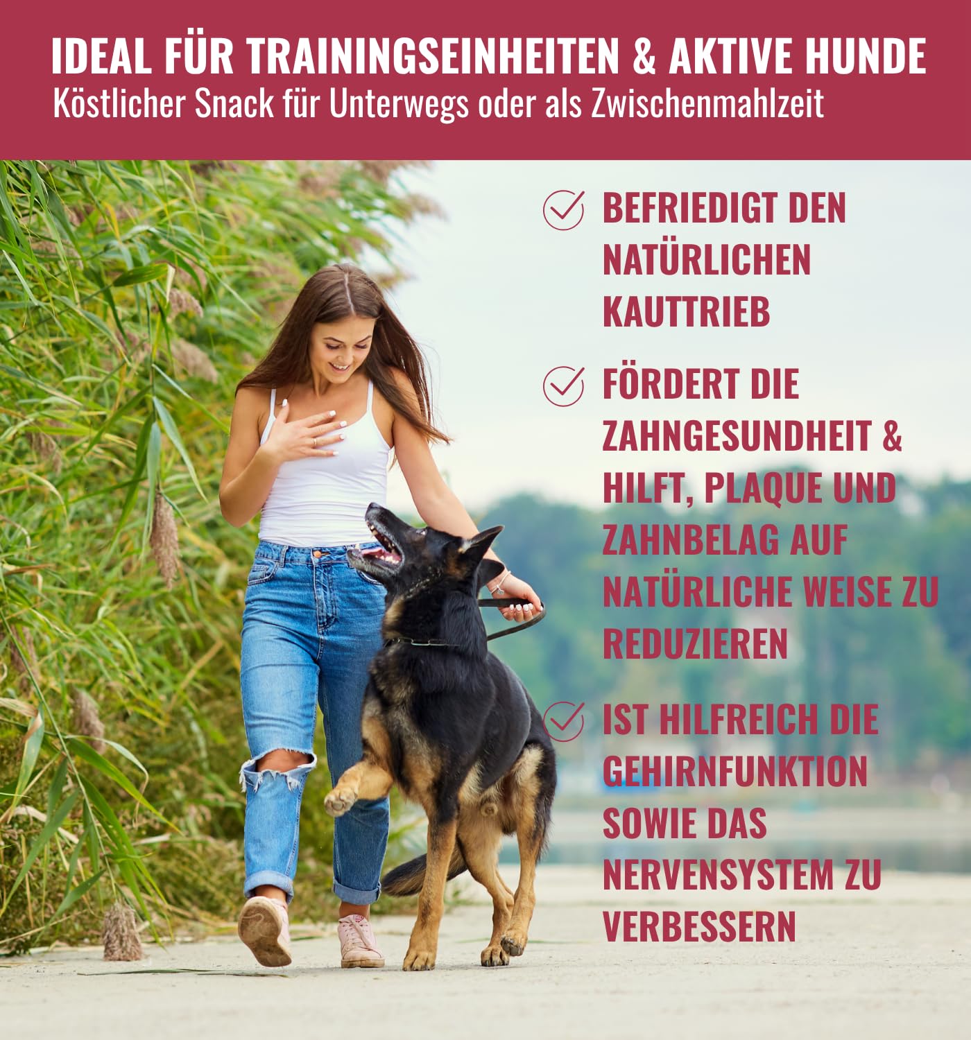 100% LACHS-ZÖPFE aus Lachshaut 6x140g Schonend getrocknete Hundesnacks aus Fisch - Lang haltbar, Mit Omega-3, 6 & 9, Proteinreich, nährstoffreich & ohne Zusatzstoffe von RiNa Fisch Hundesnacks