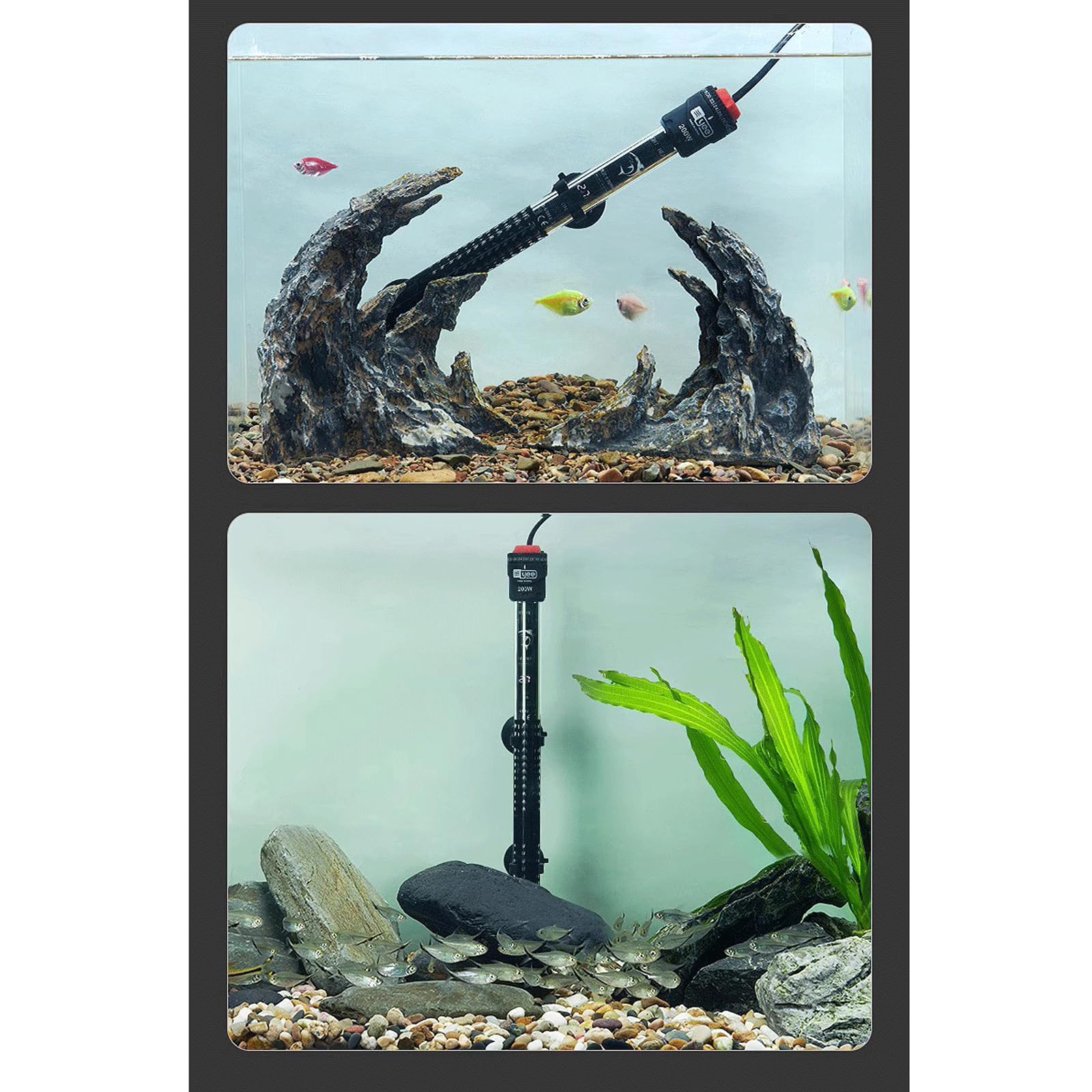 Riscaldatore Automatico antideflagrante a Temperatura costante per Acquario per Acquario con Display della Temperatura, 500 W (500 W)