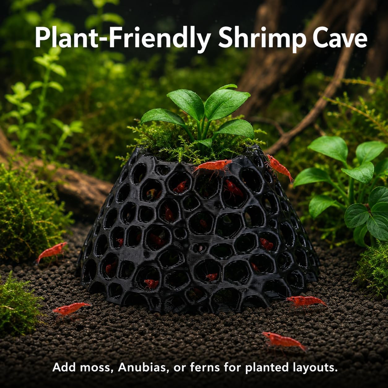 Shrimp Cave 2-Pack, Volcano-Style Shrimp Hides image 4