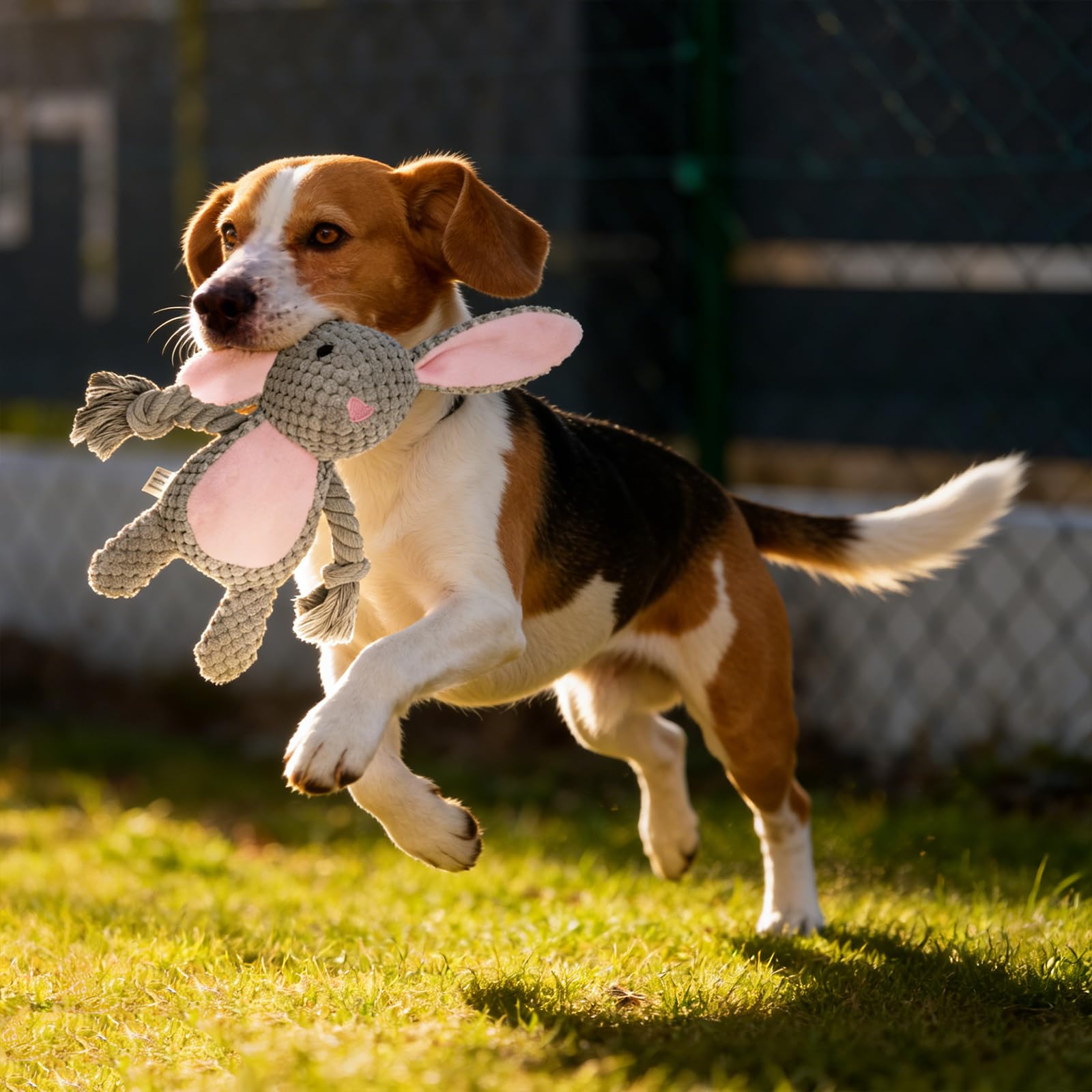 Grauer Hase Hundespielzeug mit Quietsche und Knisterpapier - Plüschtier mit Baumwollseil für Tauziehen - Interaktives Kuscheltier für Welpen, kleine & mittelgroße Hunde - Ideal als Ostergeschenk