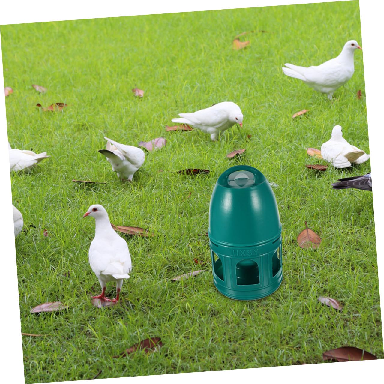 Abreuvoir à Oiseaux 10 L en Plastique Vert, Rond et Détachable