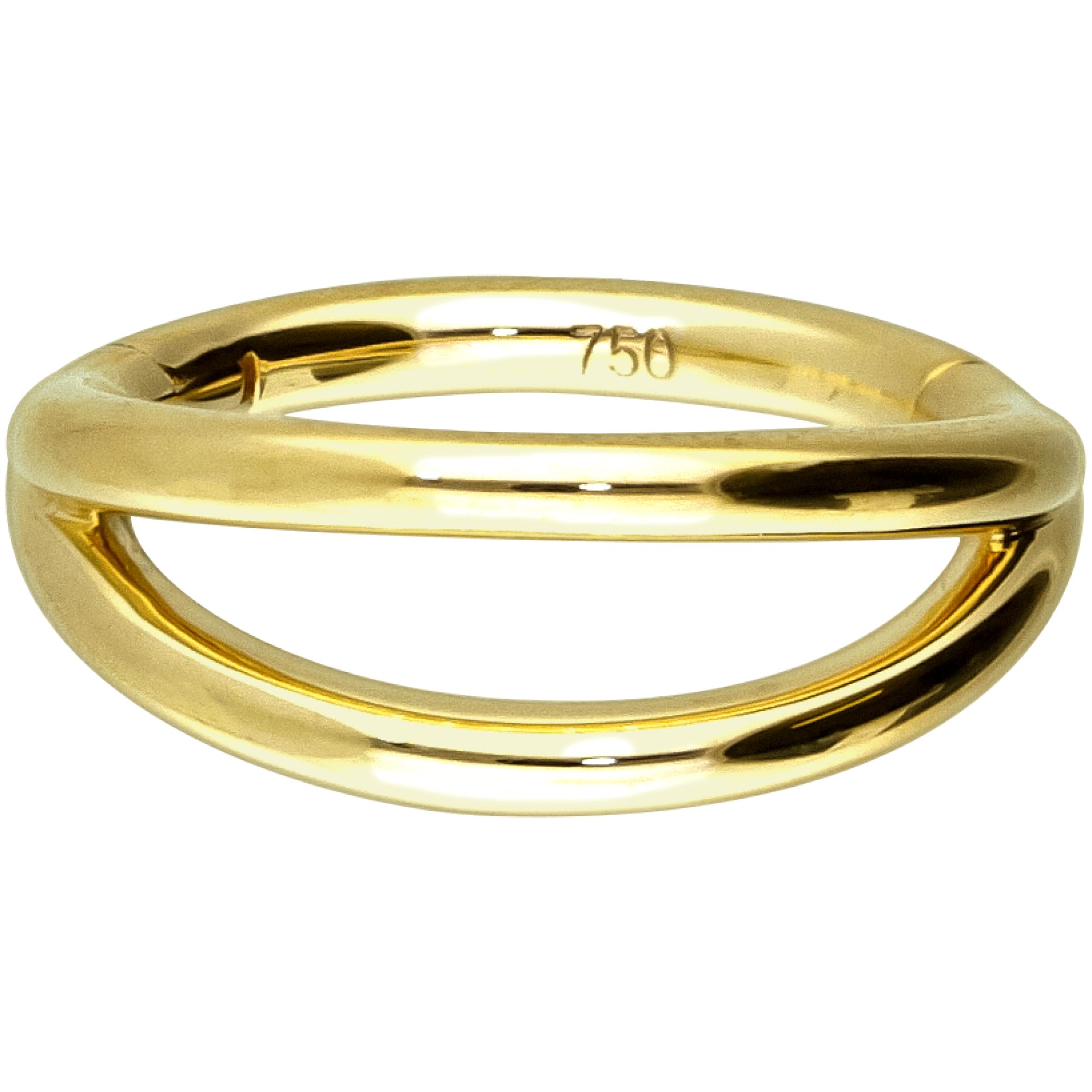 PIERCINGLINE 750er Gold Segmentring Clicker | 18 KARAT | DOPPEL RING | Piercing Ring Nase Septum Ohr Helix | Farb & Größenauswahl