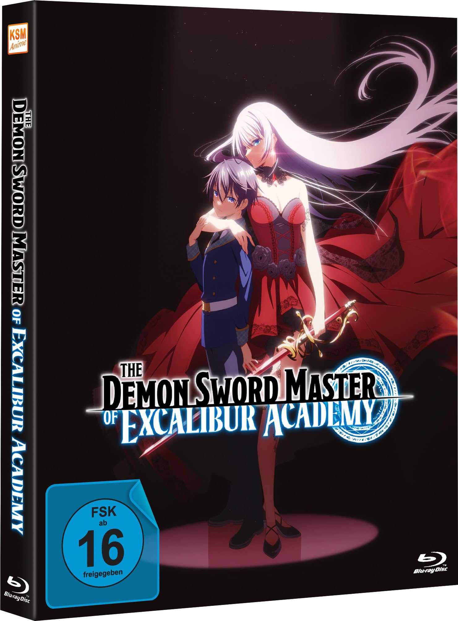 The Demon Sword Master of Excalibur Academy Complete Edition