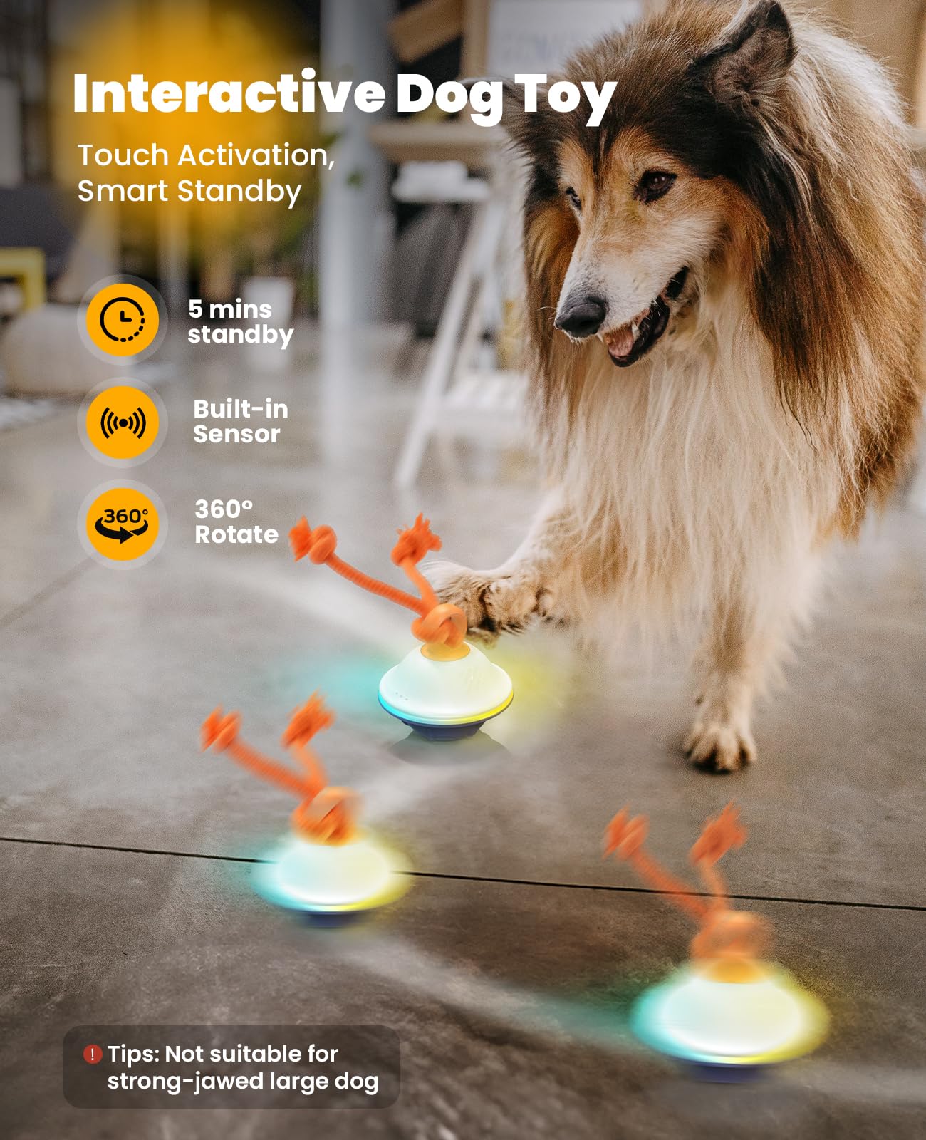 Xeuch Pelota interactiva para perro, color azul