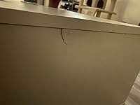 Review Image by Rebecca Morris