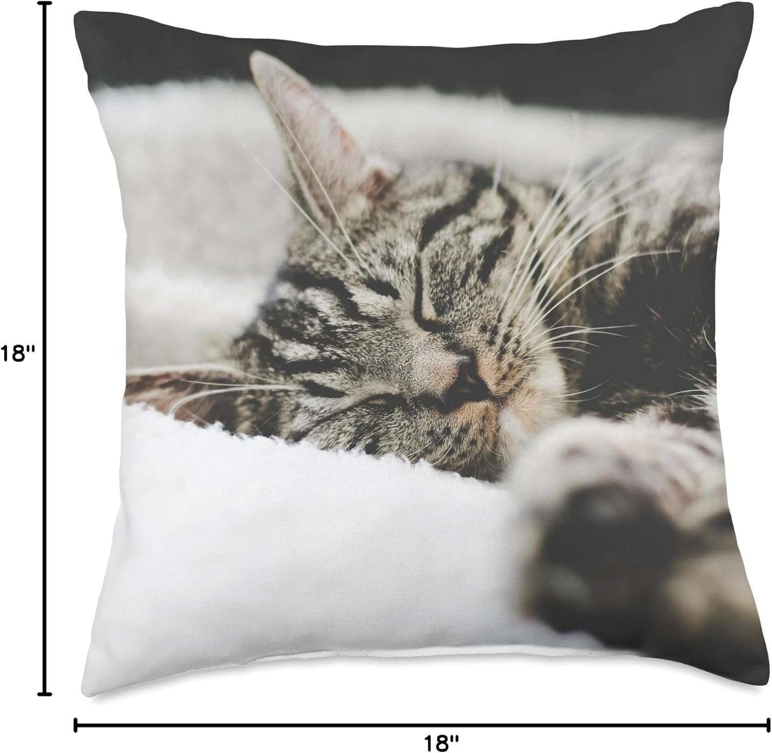 Tabby Cat Throw Pillow
